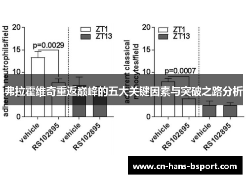弗拉霍维奇重返巅峰的五大关键因素与突破之路分析