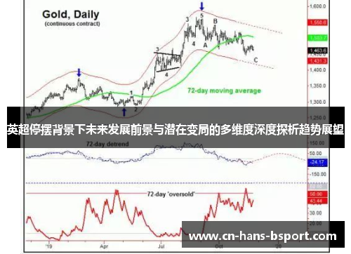 英超停摆背景下未来发展前景与潜在变局的多维度深度探析趋势展望